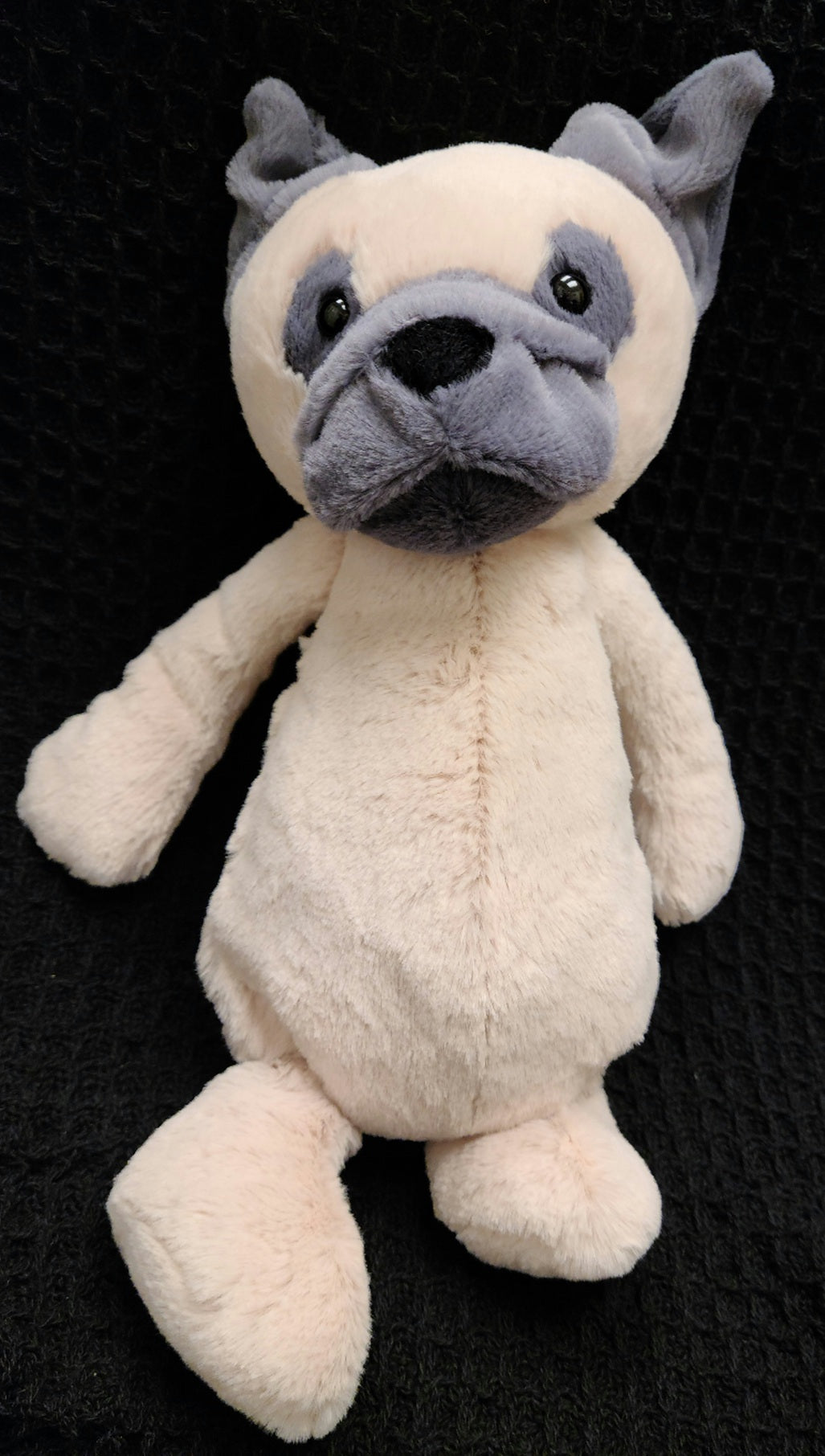 Med Bashful Pug