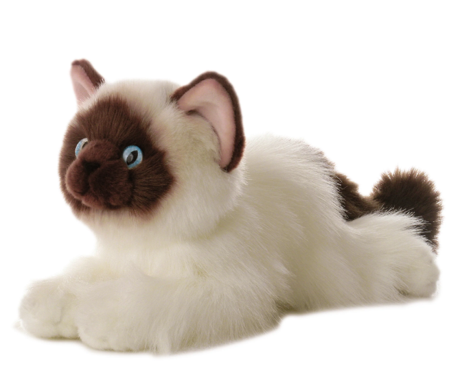 Flopsie - Bella Cat 12"