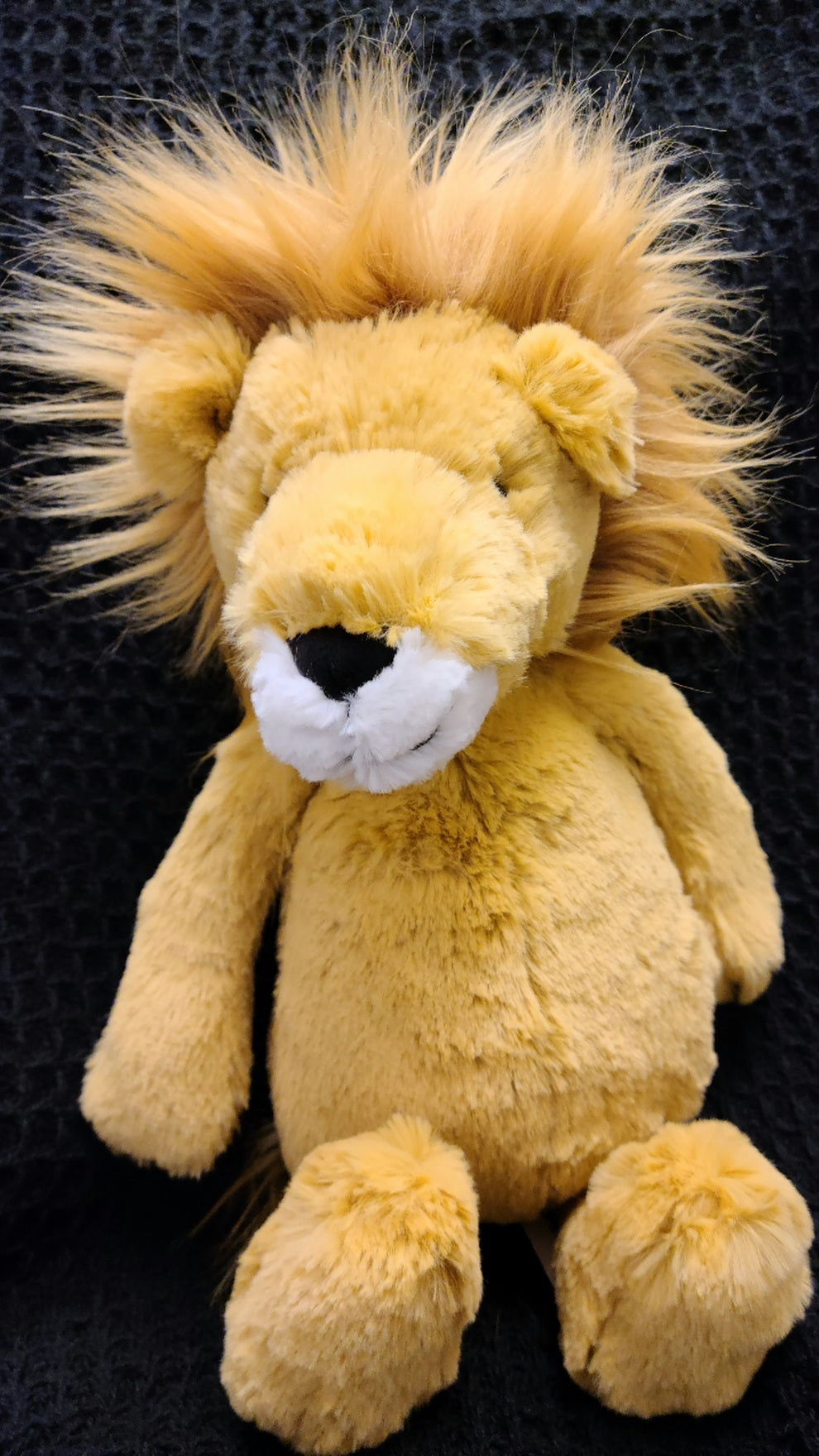 Med Bashful Lion
