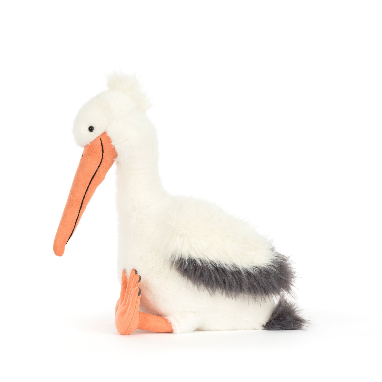 JC- Keli Pelican