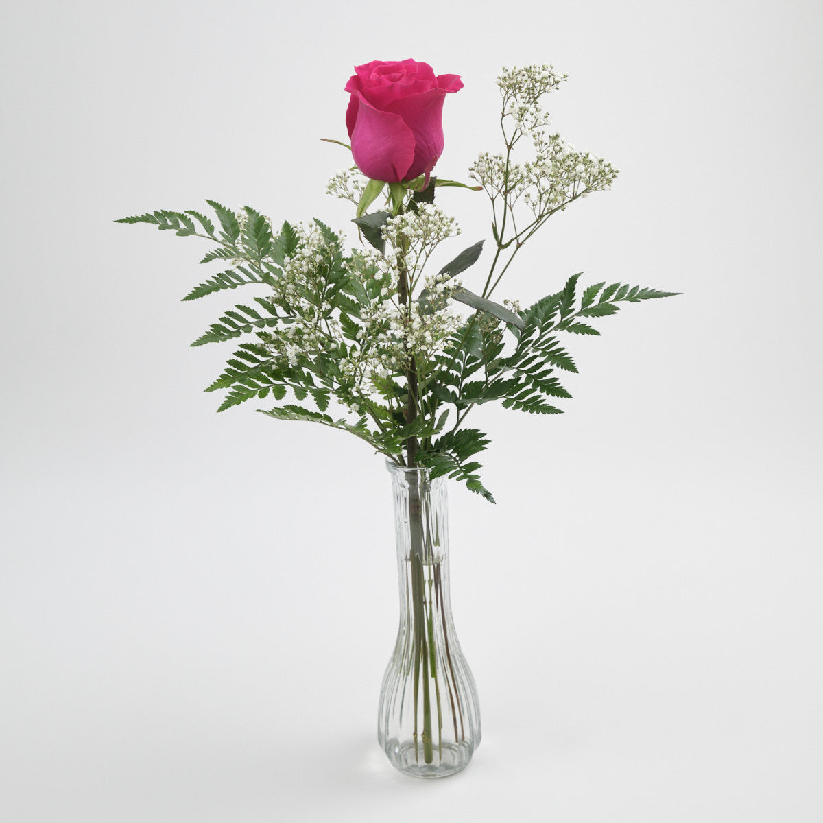 Single rose with Baby's Breath