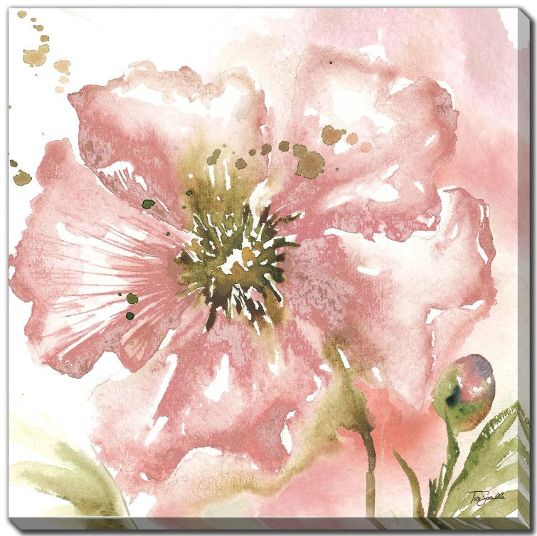 Blush Poppy- Canvas Art