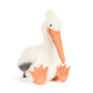 JC- Keli Pelican