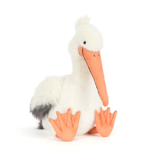 JC- Keli Pelican