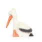 JC- Keli Pelican